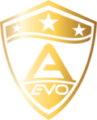 COVERING FILM DE PROTECTION DETAILING AUTOMOBILE TOULOUSE