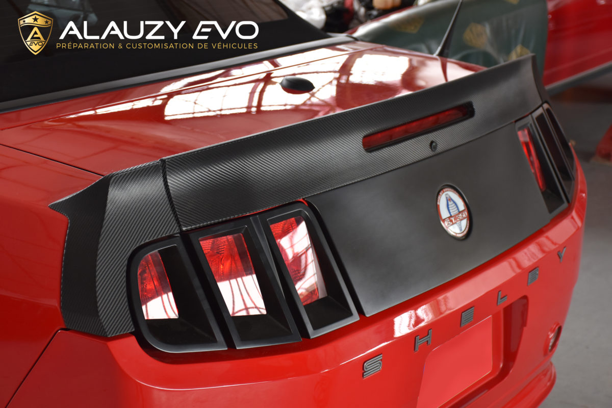 MUSTANG TOULOUSE ALAUZY EVO COVERING TOTAL COVERING CARBONE